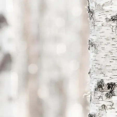 Apartamento Economy Aarakka *