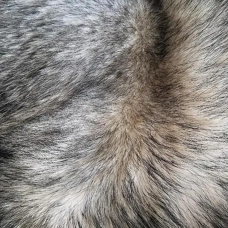 Economy Aarakka Apartamento