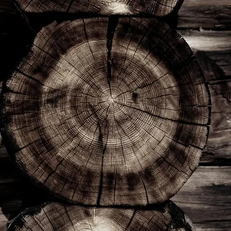 Apartmán Economy Aarakka *