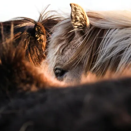 Апартаменты Economy Aarakka