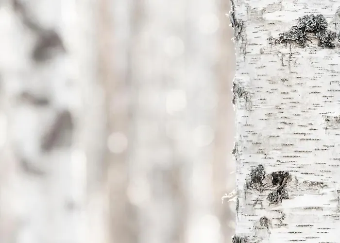 Apartmán Economy Aarakka *