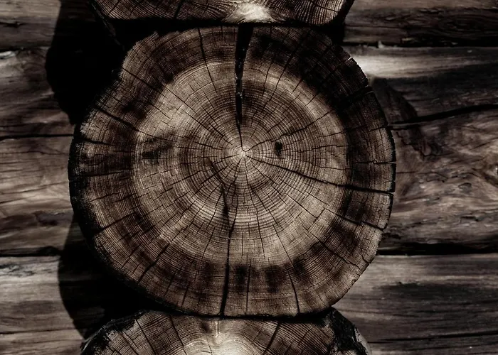 Apartmán Economy Aarakka *