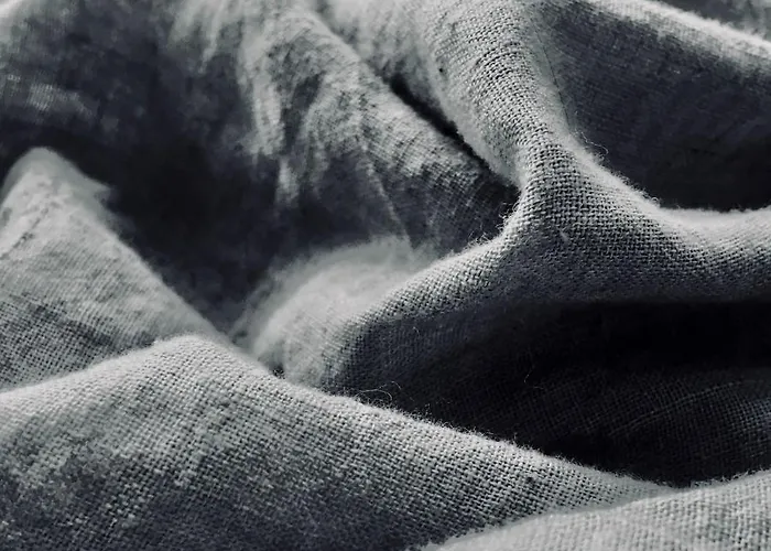 Economy Aarakka Levi